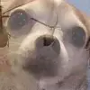 gabedarnell0 - @gabedarnell0 - TikTok