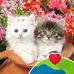 Gabe N Del - Facebook