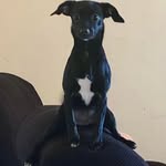 Gabe DeHerrera - @deherrera_gabe - Instagram