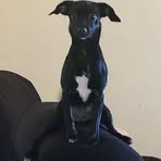Gabe DeHerrera - Facebook