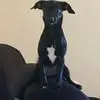 Gabe DeHerrera - @gabe.deherrera3 - TikTok