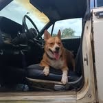 Gabe Duran - @pablomgorthy420999 - Instagram