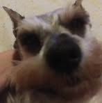 Gabriel Elmore - Facebook
