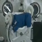 Gabe Engel - @gabee0928 - Instagram