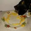 Gabe Engel - @gabe.engel - TikTok