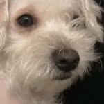 Gabe Escobar - @gabrielescobar149509 - Instagram
