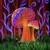 Gabe Flocco - Facebook