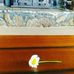 Garrettn Gabe - Facebook