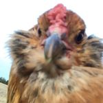 Gabe Geiser - @geiser.gabe1 - Instagram