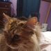 Gabe Glenn - Facebook