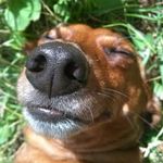 gabe gordon - @gabegordon3946 - Instagram