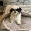 Gabe Gordon - @gabegordon__ - TikTok
