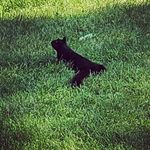 Gabriel Gordon - @gabegordon42 - Instagram