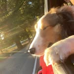 Gabe Glickman - @gabe_glickman - Instagram