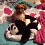 Gabe Hackett - @gabe.hackett.39 - Instagram