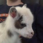 Gabe hall - @gabe_hall_ou - Instagram
