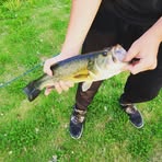 Gabe Hall - Facebook