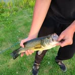 Gabe Hall - Facebook