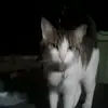 gabeharrell622 - @gabeharrell622 - TikTok