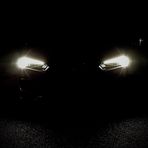 Gabriel Harrell - Facebook