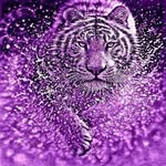 Gabe Harrison - @purple_tiger_007 - Instagram