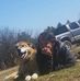 Gabe Henry - Facebook
