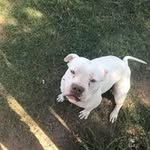 Gabe Hodges - @gabe.hodges.102 - Instagram