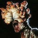 Gabe Horne - @clickerslayer1748 - Instagram