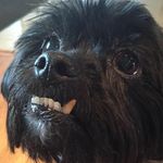 Gabe_Howell_1 - @gabe_howell_1 - Instagram