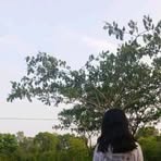 Shyruss Anne Gabertan Jamison - Facebook