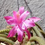 Gabe Jimenez - @gjimenez70 - Instagram