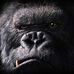 Gabe Johnston - Facebook