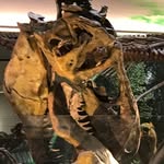 Gabe - @gabej_olly - Instagram