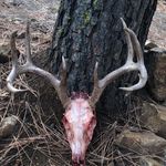 Gabriel lowe - @gabe_lowe555 - Instagram