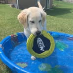 Gabe Ludwig - Facebook