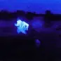 gabe.luna9 - @gabe.luna9 - TikTok
