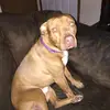 Gabe Macias - @user04119650 - TikTok