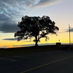 Gabe McCarty - @gabe_mccarty06 - Instagram