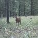 Gabe McClellan - Facebook