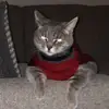 Gabe - @gabe.miller - TikTok