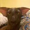 GabrielMunizOfficial - @gabemuniz2 - TikTok