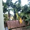 natal - @natalgabe - TikTok