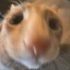 G - @gabe.orosco - TikTok