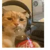 Gabe Richards - @gabe.richards4 - TikTok