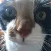gabe.robinson24 - @gabe.robinson24 - TikTok