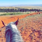 Gabe Rogers - @gabe_rogers - Instagram