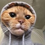 Gabe Sheppard - @funny6411 - Instagram