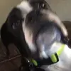 Gabriel Weaver - @gabriel.weaver8 - TikTok