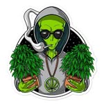 Gabe Wiggins - @wsq_257 - Instagram