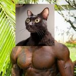 Gabe Wong - @_gabewong - Instagram